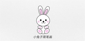 小白兔简笔画教程简单可爱