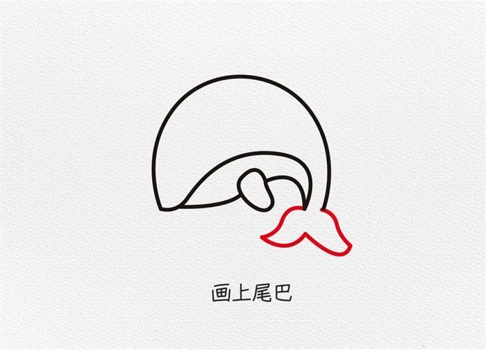 海豚简笔画怎么画图片