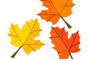 秋天的枫叶幼儿简笔画教程图片简单