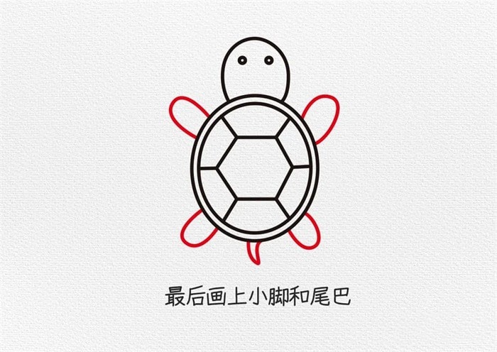 小乌龟简笔画教程简单