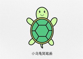 小乌龟简笔画教程简单