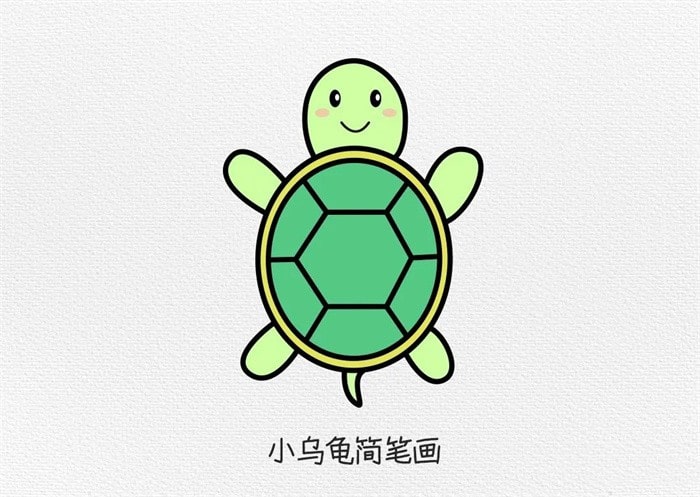 小乌龟简笔画教程简单