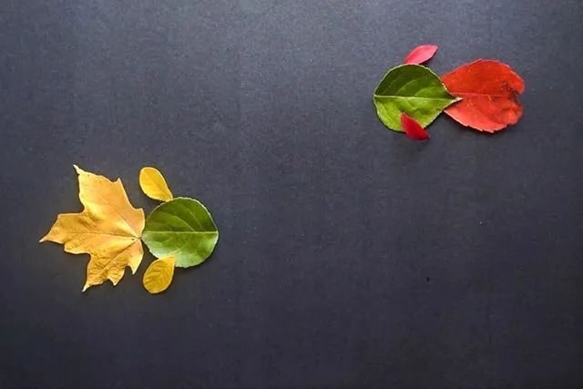 简单树叶手工粘贴画小鱼游水教程