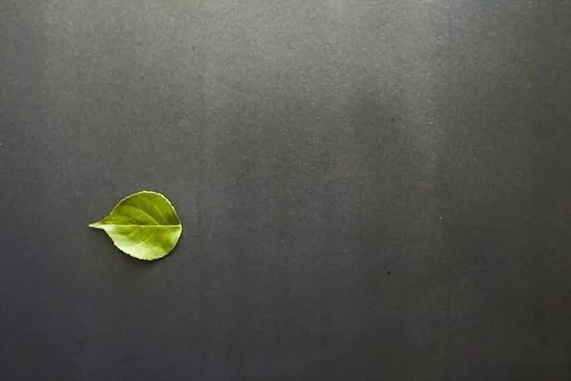 简单树叶手工粘贴画小鱼游水教程