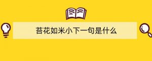苔花如米小下一句是什么