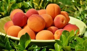 孕妇能吃杏子吗