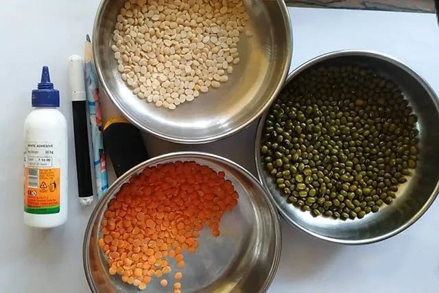 谷物粘贴画蝴蝶简单又漂亮