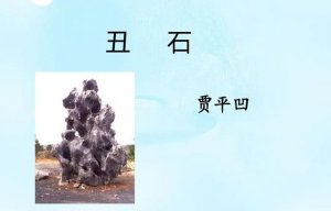 丑石教学设计