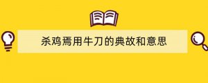 杀鸡焉用牛刀的典故和意思