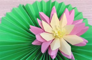 儿童手工小制作睡莲简单又好看