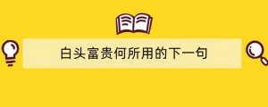 白头富贵何所用的下一句