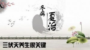 三伏天怎么养生