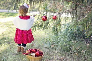 唯美的古诗词暗藏唯美的名字女