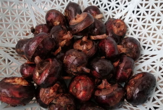 空气炸锅食谱烤马蹄（荸荠）