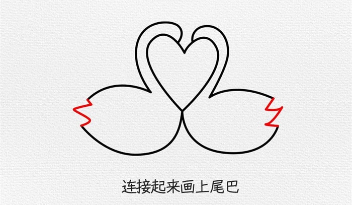 一对恩爱的天鹅简笔画教程