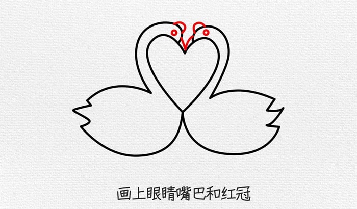 一对恩爱的天鹅简笔画教程