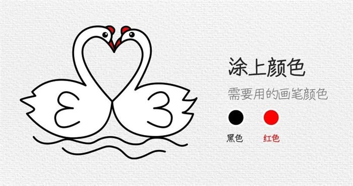 一对恩爱的天鹅简笔画教程
