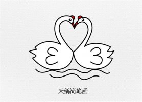 一对恩爱的天鹅简笔画教程