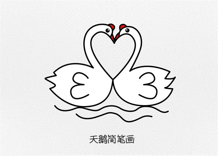 一对恩爱的天鹅简笔画教程