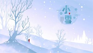 描写小雪节气的古诗词8首
