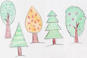 简单图形画5种不同形状的大树简笔画
