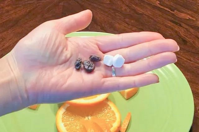 儿童创意水果拼盘小狗教程简单好看