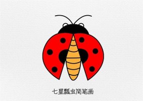 七星瓢虫简笔画教程图片简单又好看