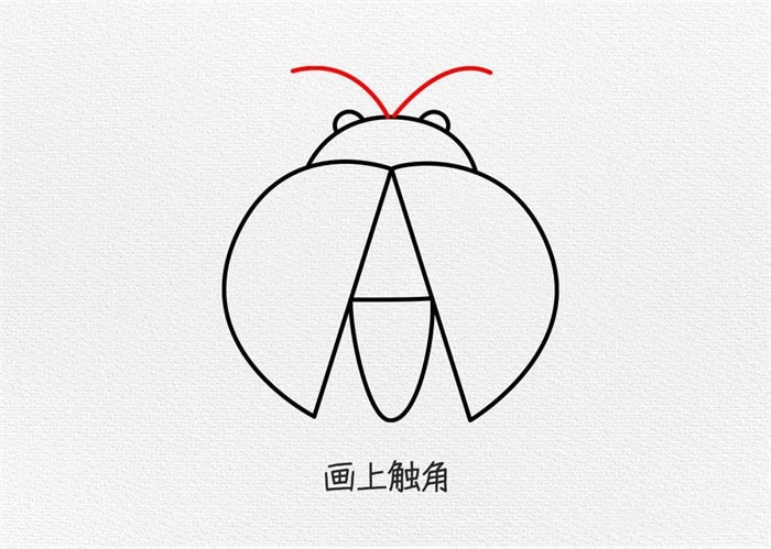 七星瓢虫简笔画教程图片简单又好看