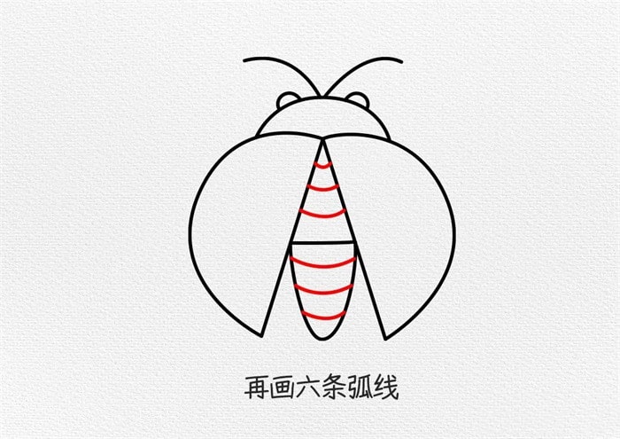 七星瓢虫简笔画教程图片简单又好看
