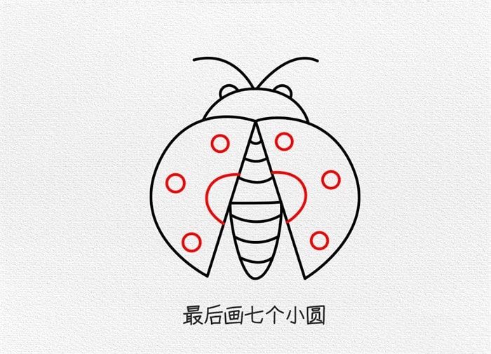 七星瓢虫简笔画教程图片简单又好看