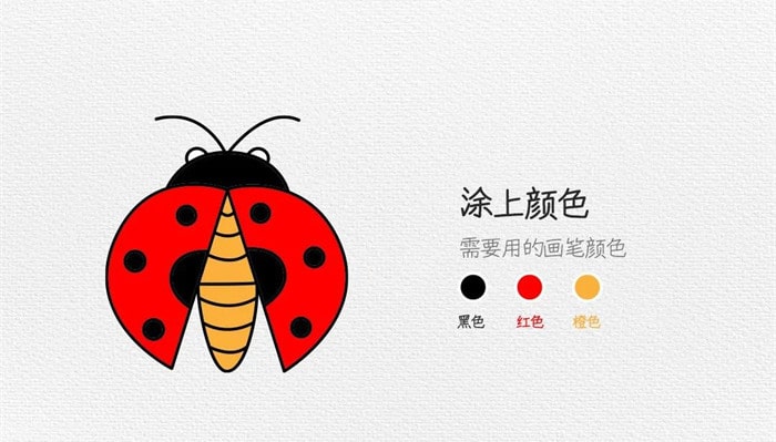 七星瓢虫简笔画教程图片简单又好看