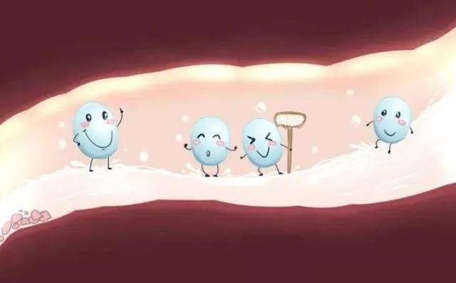 新生婴儿能吃益生菌吗