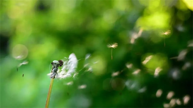 18首珍惜时间的古诗词，让孩子不再虚度年华