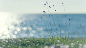 18首珍惜时间的古诗词，让孩子不再虚度年华