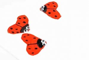 幼儿学画画：卫生纸筒印画瓢虫