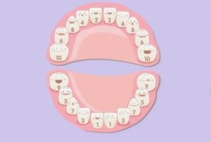 宝宝什么时候长全牙齿