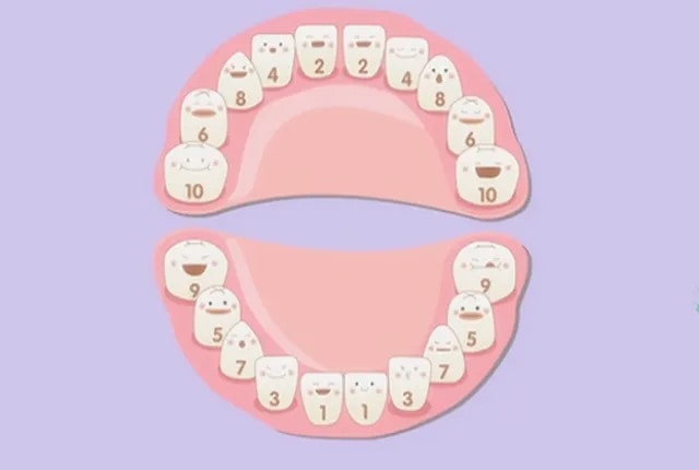 宝宝什么时候长全牙齿