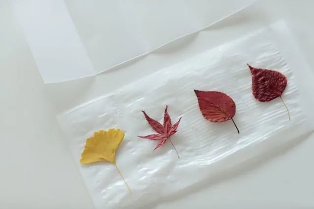 树叶废物利用手工制作创意灯笼简单