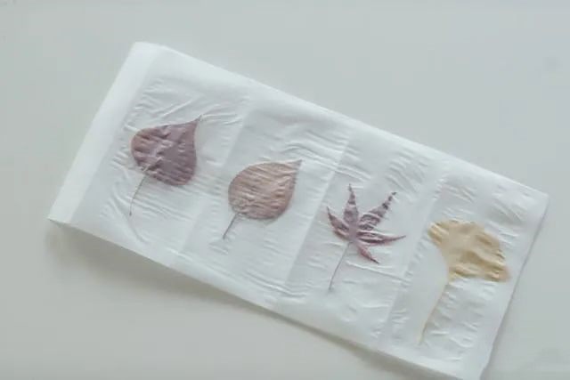 树叶废物利用手工制作创意灯笼简单