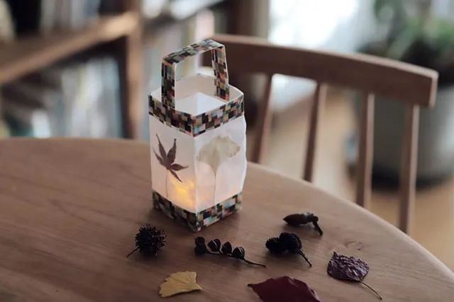 树叶废物利用手工制作创意灯笼简单