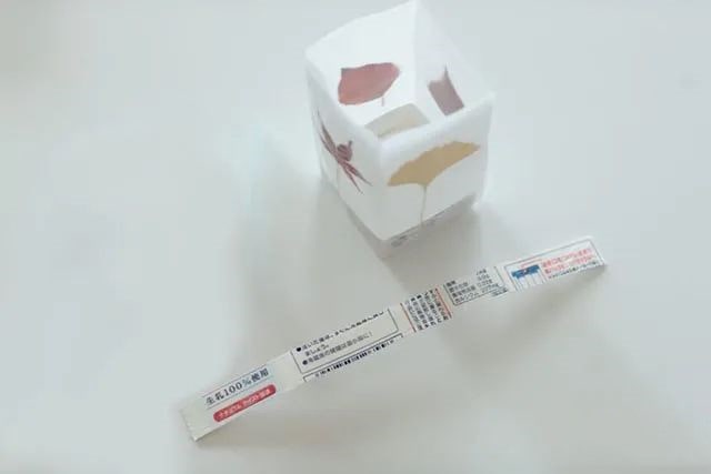 树叶废物利用手工制作创意灯笼简单