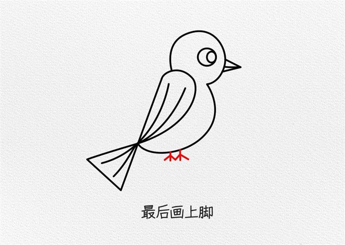 小鸟简笔画图文步骤简单