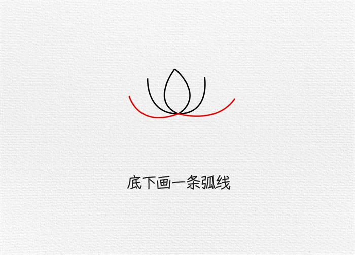 荷花简笔画图片教程怎么画