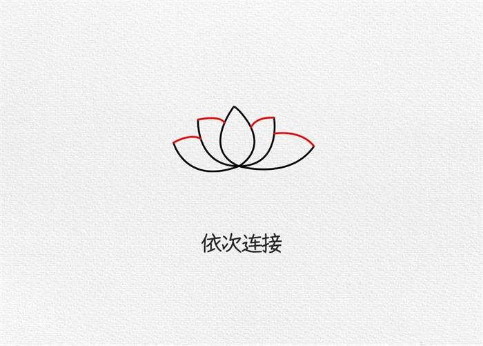 荷花简笔画图片教程怎么画