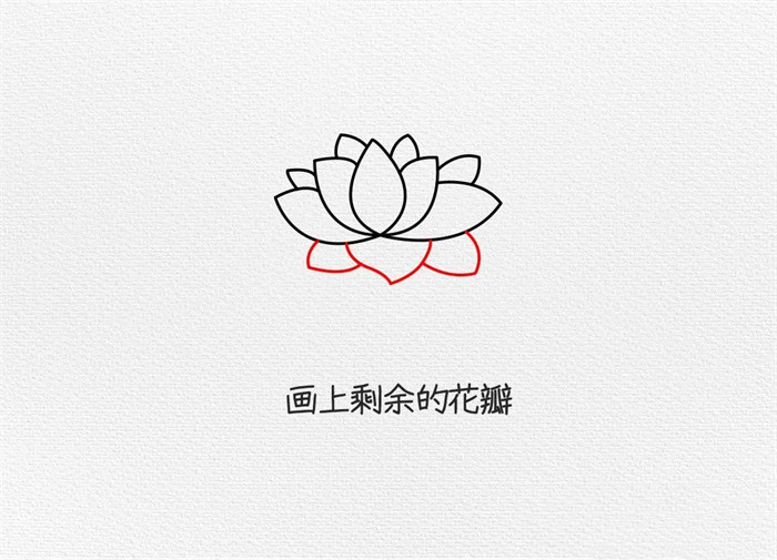 荷花简笔画图片教程怎么画