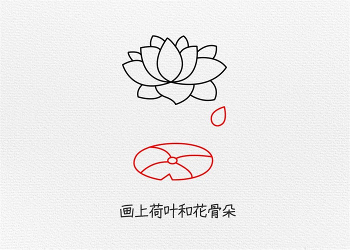 荷花简笔画图片教程怎么画