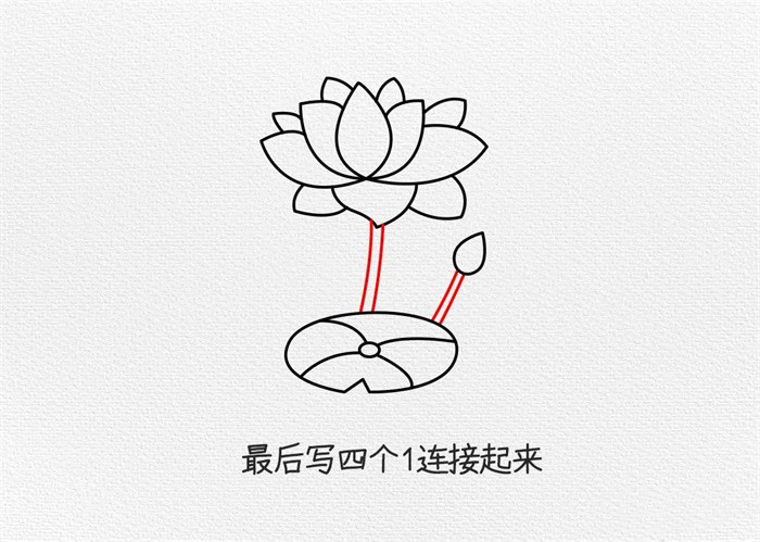 荷花简笔画图片教程怎么画