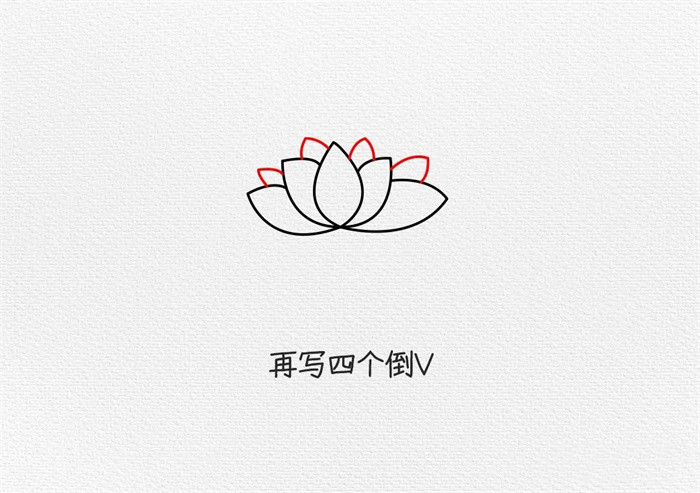 荷花简笔画图片教程怎么画