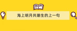 海上明月共潮生的上一句