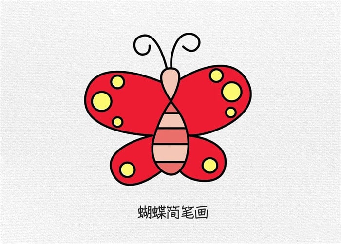 蝴蝶简笔画图文教程简单又好看